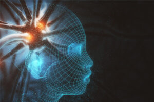 Why the Nervous System Matters in Therapy Work